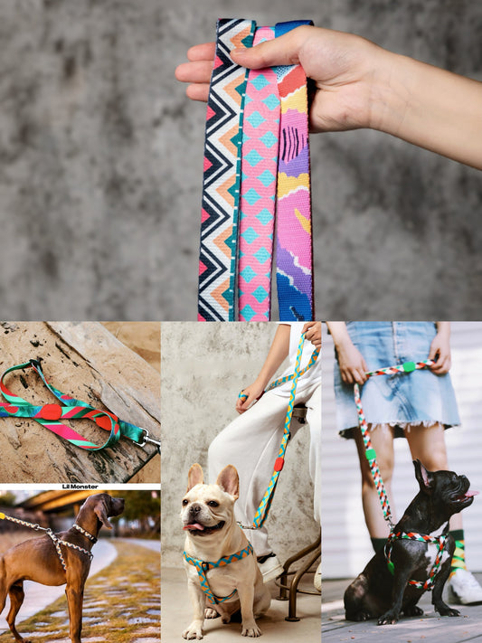 🐶 Let's wander the World: Meet the WanderPop Harness & Leash Set