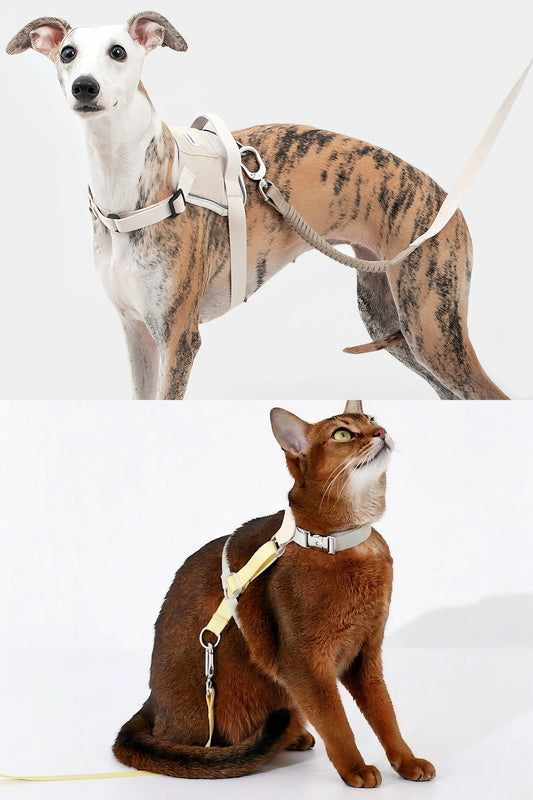 "Daily Walks, Simplified" The Mino Harness & Leash Set Your Pet Will Love ♥️