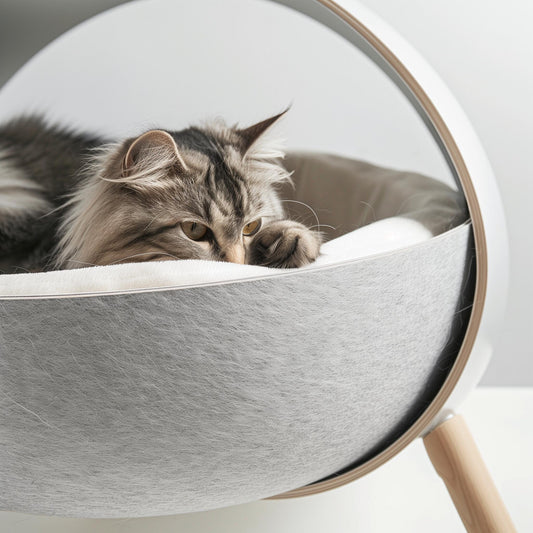🐾 Why Do Cats Love Small Spaces? Did You Choose the Right Bed for Yours?