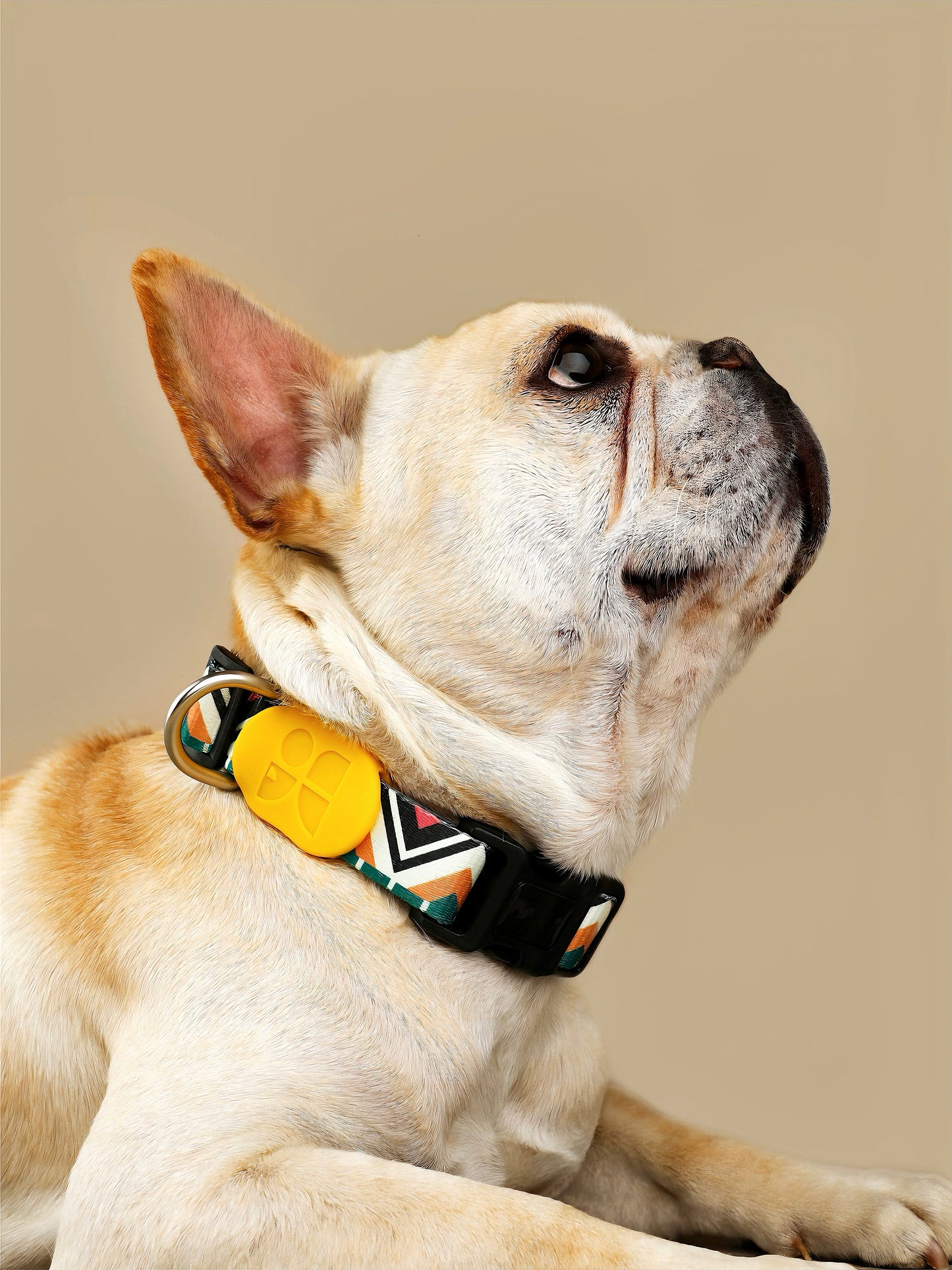 WanderPop Dog Collar— Adjustable & Durable Pet Collar