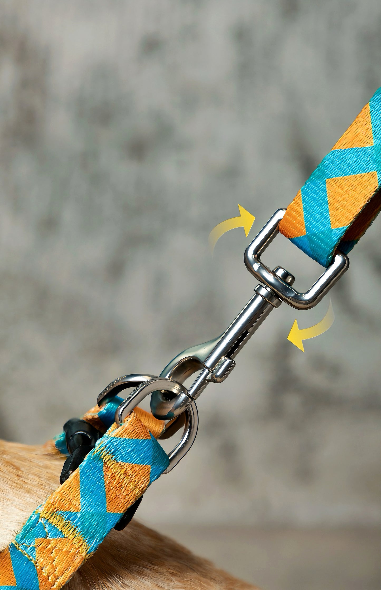 Adjustable harness fits around chest and belly