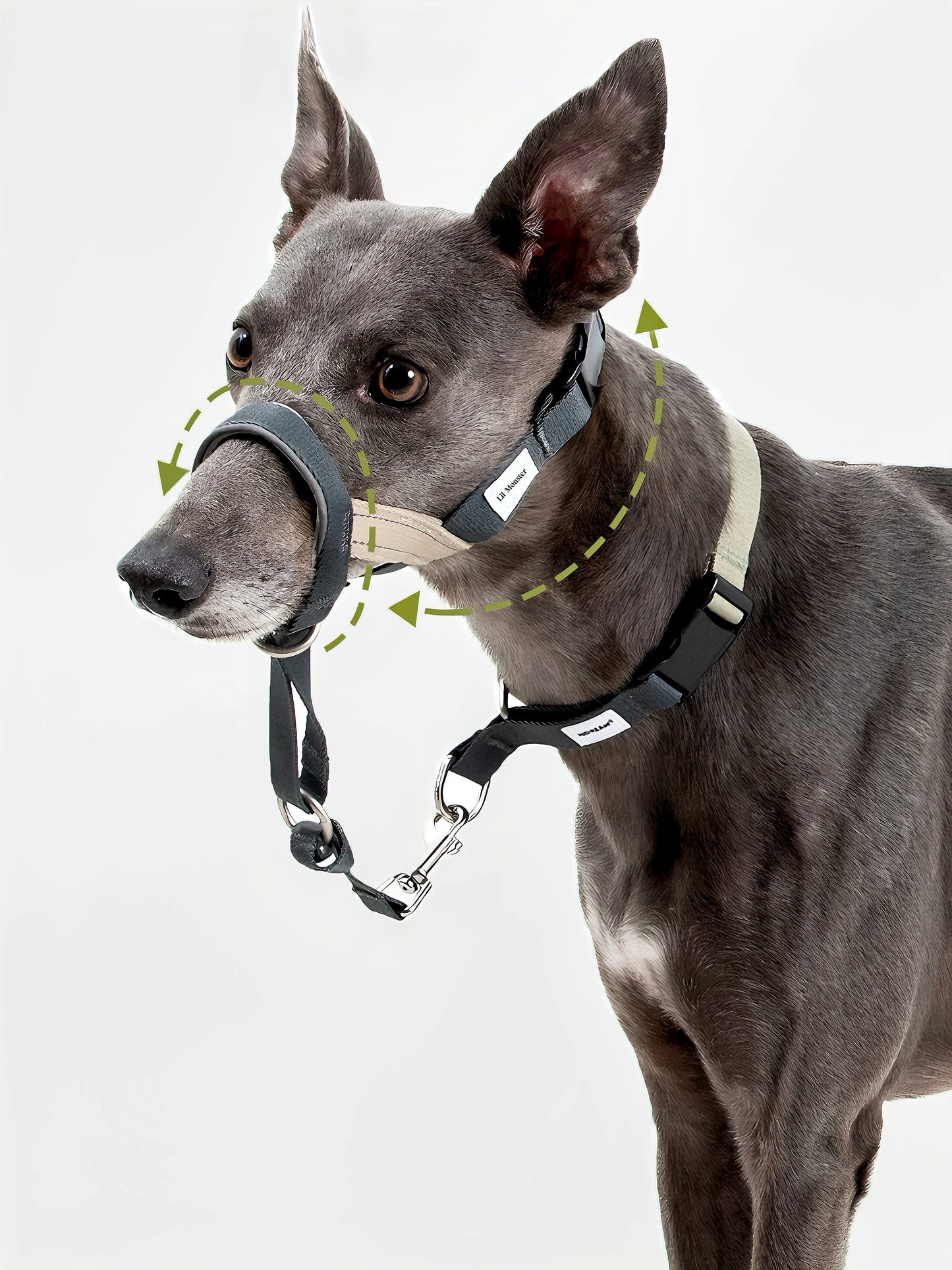 Adjustable neck and snout straps