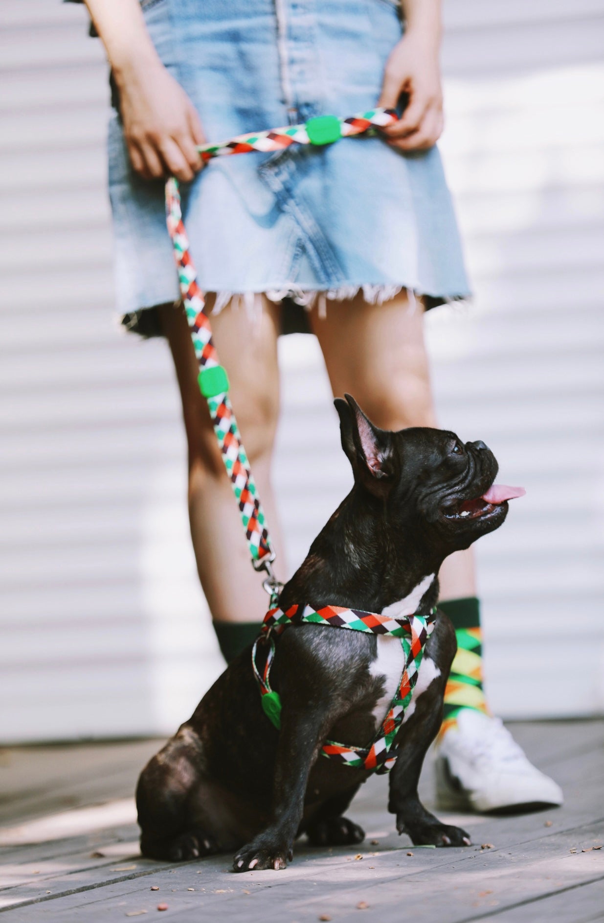 Comfort-first dog harness design