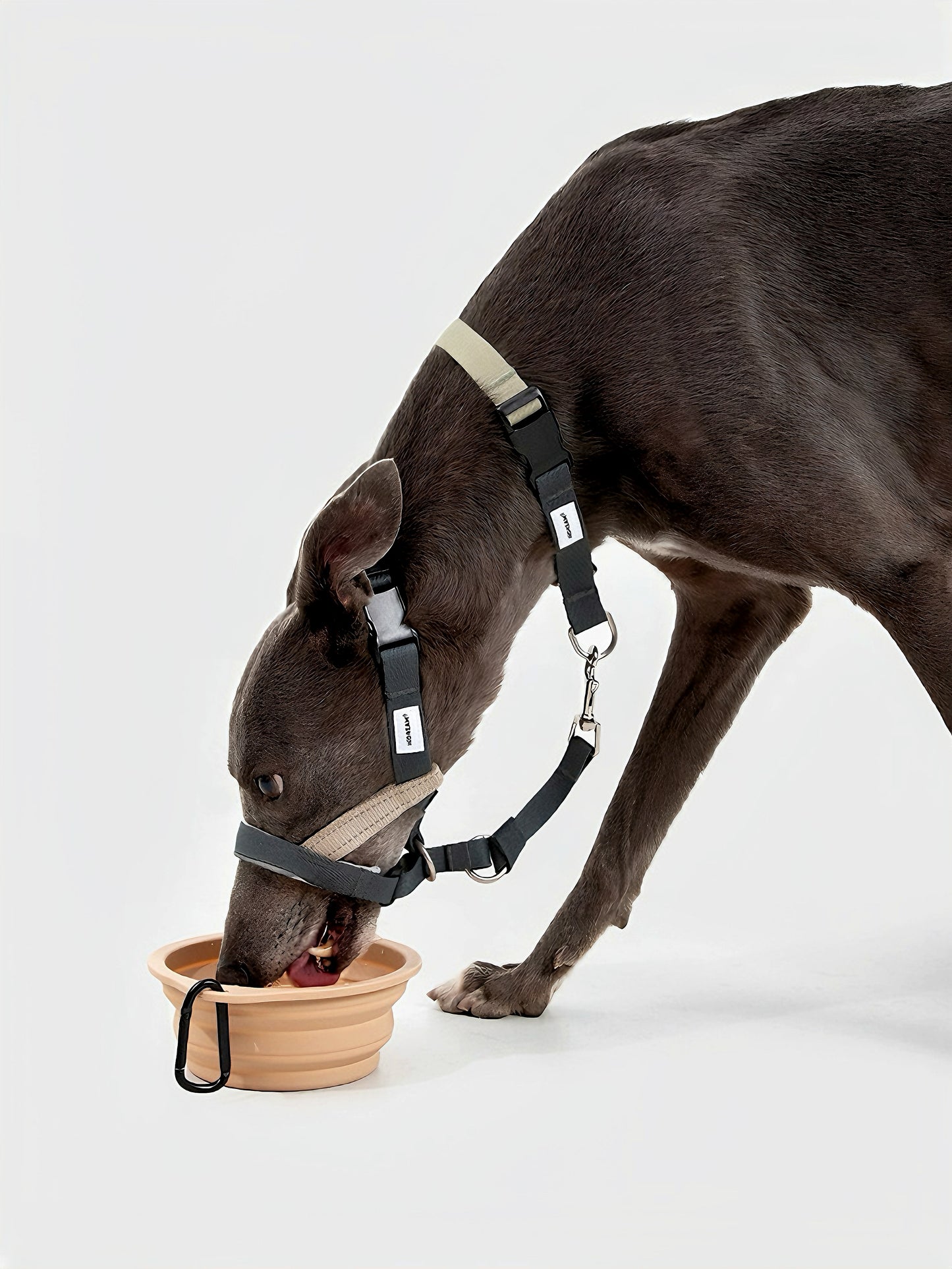 SOFT-CONTROL DOG MUZZLE