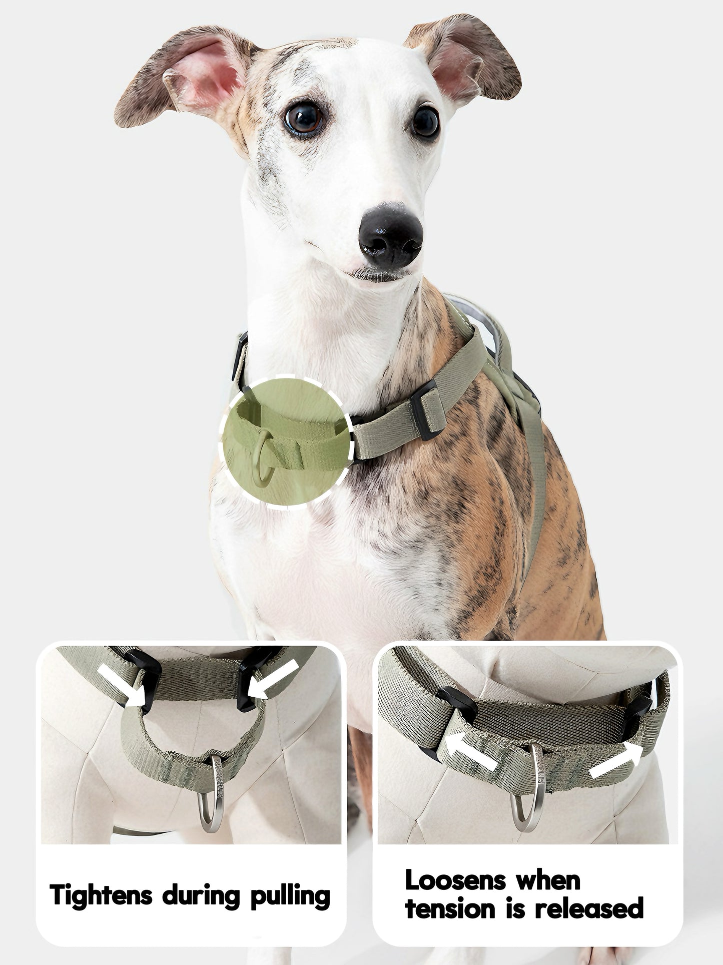 adjustable dog harness