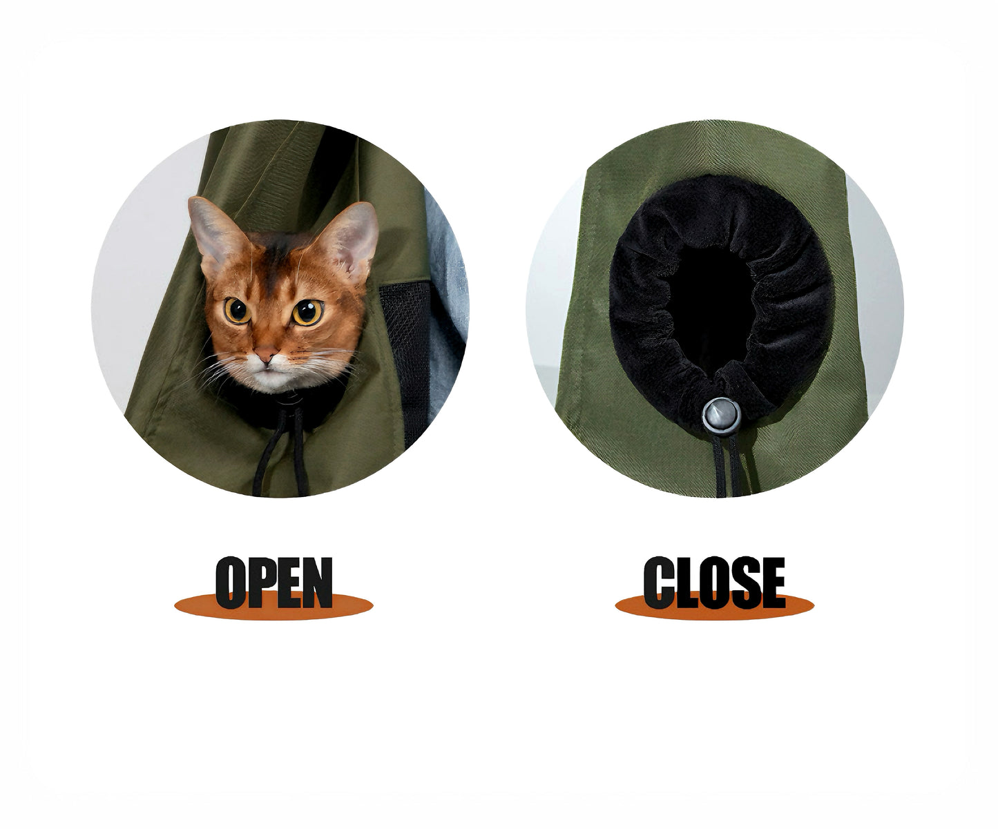 collapsible cat carrier for camping