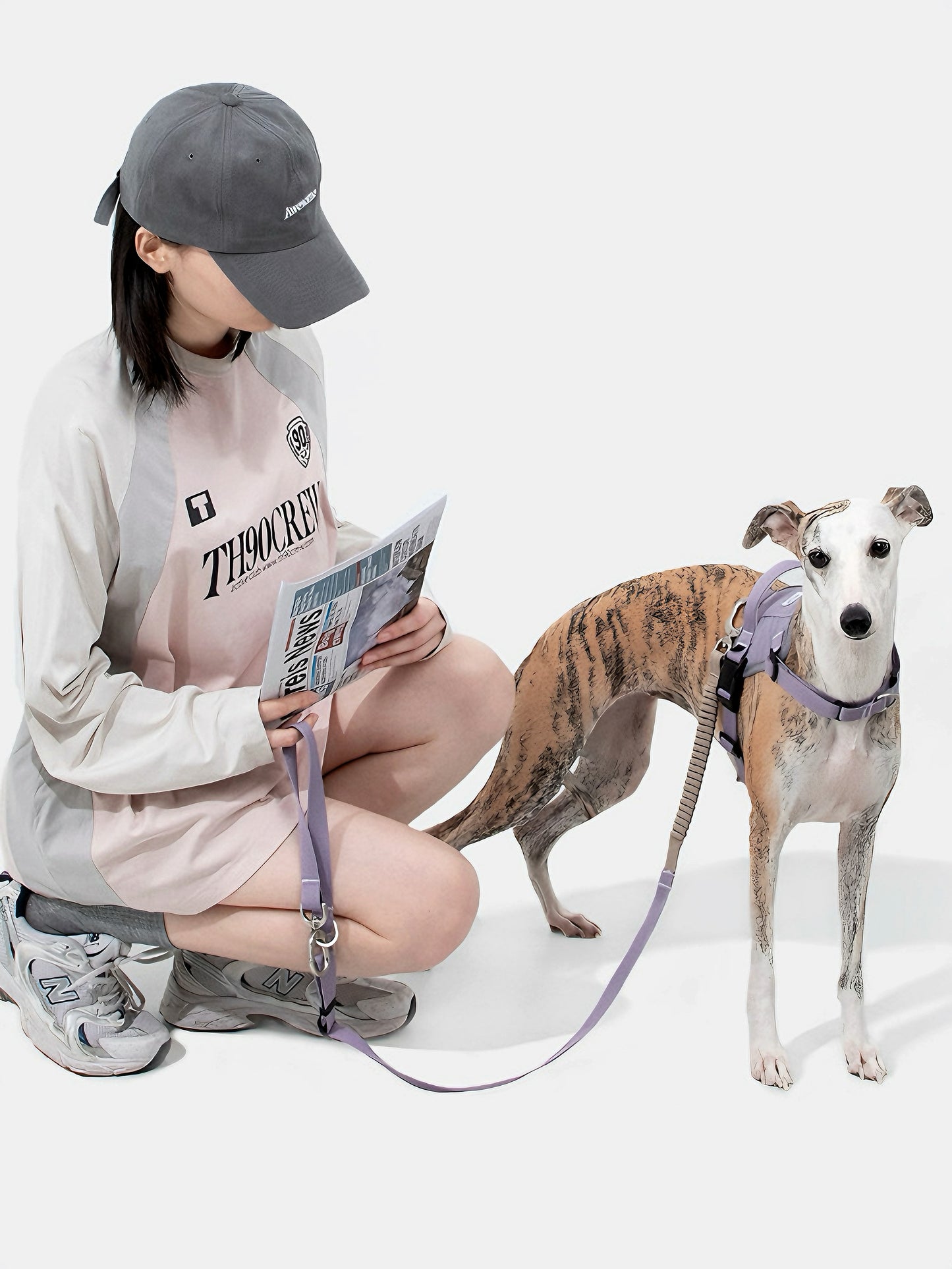 fashionable dog harness and leash set
