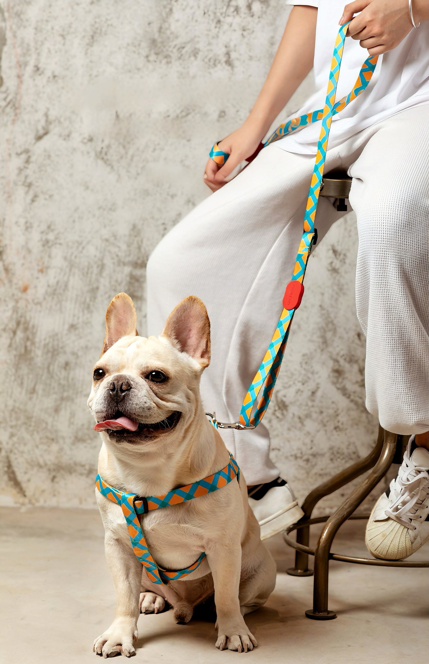geometric dog harness and leash set