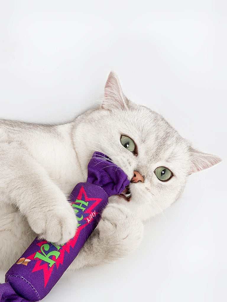 interactive cat toys