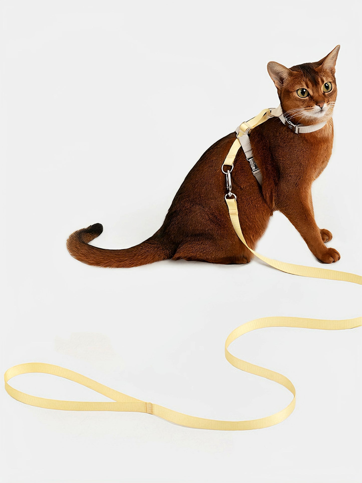 long cat leash