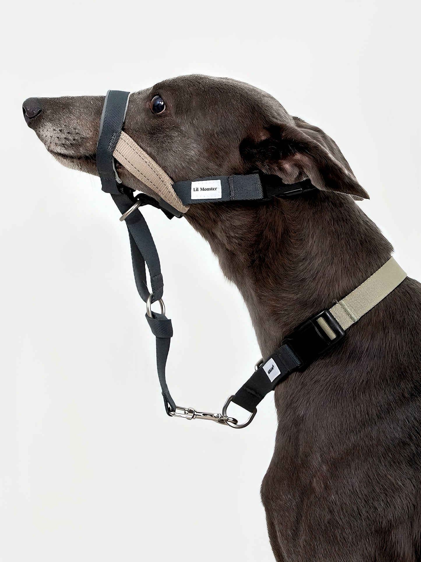 muzzle durable sandwich webbing and eco-friendly RPET