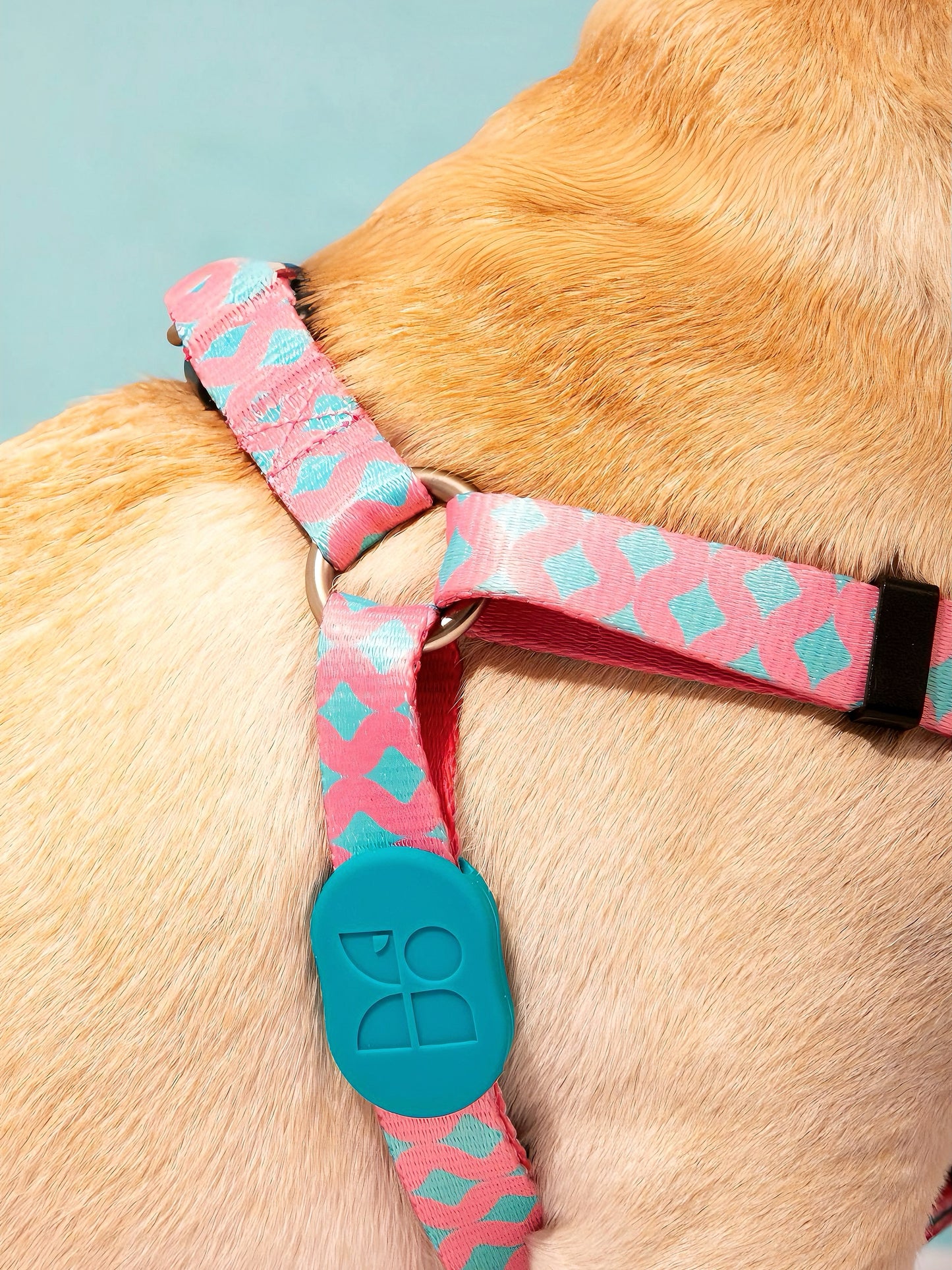 no-pull dog harness and leash set