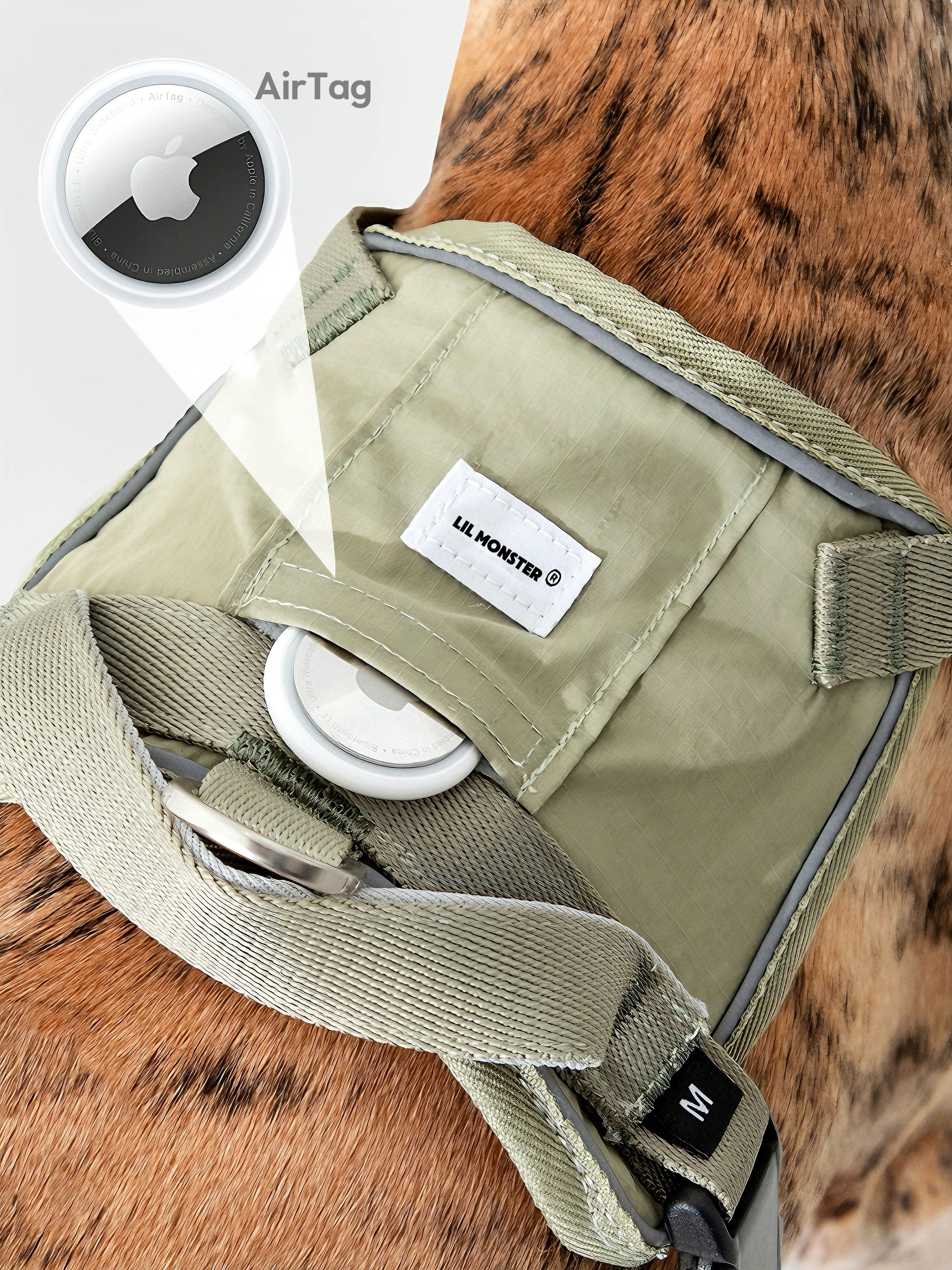 durable dog harness