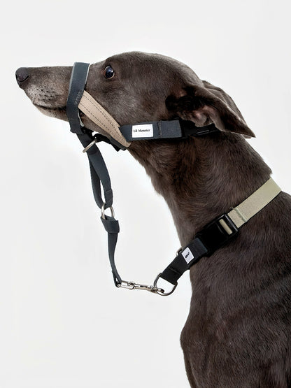 muzzle durable sandwich webbing and eco-friendly RPET