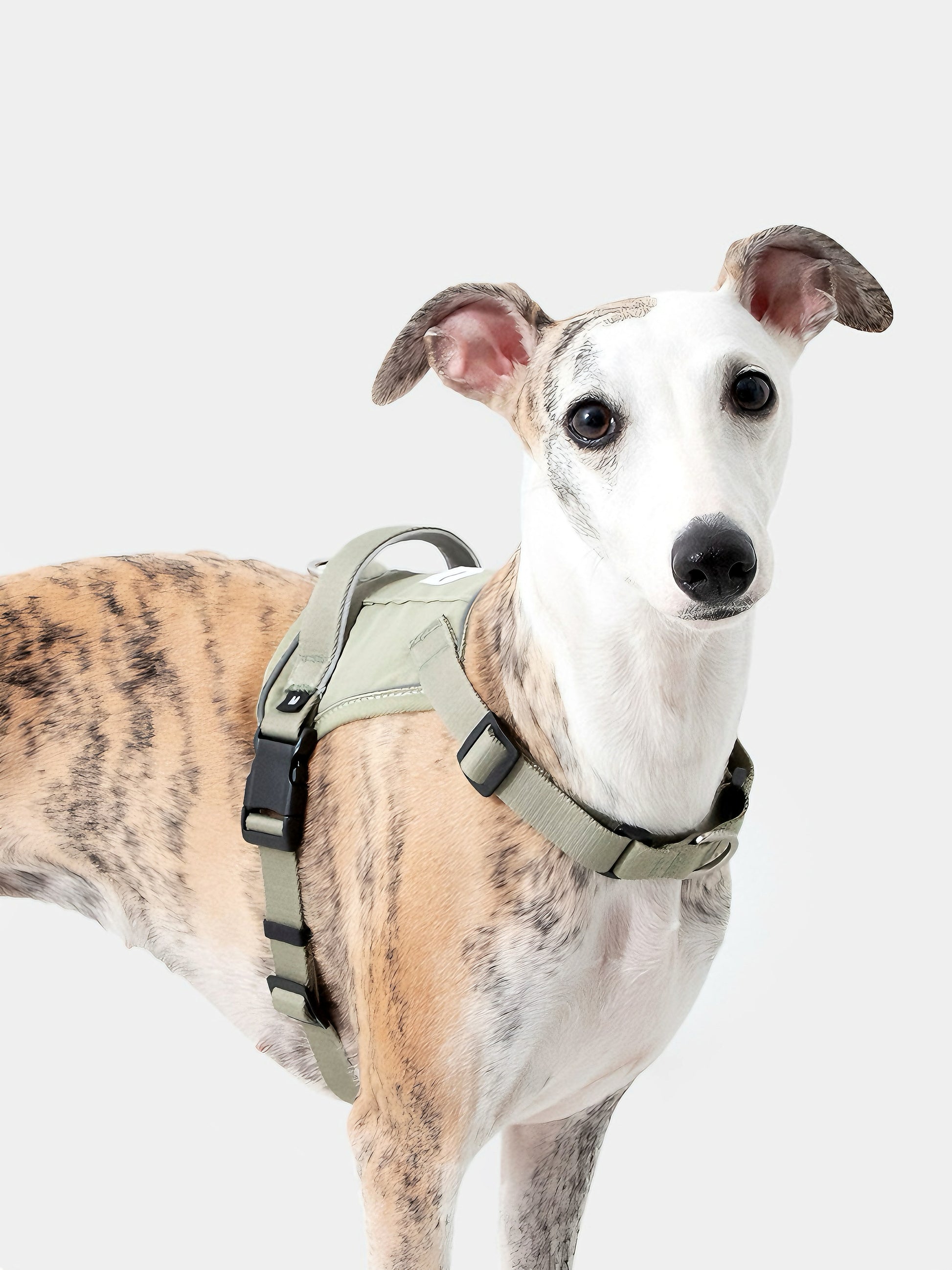 soft and comfortable dog harness